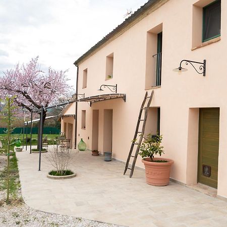 B&B Le Rondini Ostra Senigallia Casine  Buitenkant foto