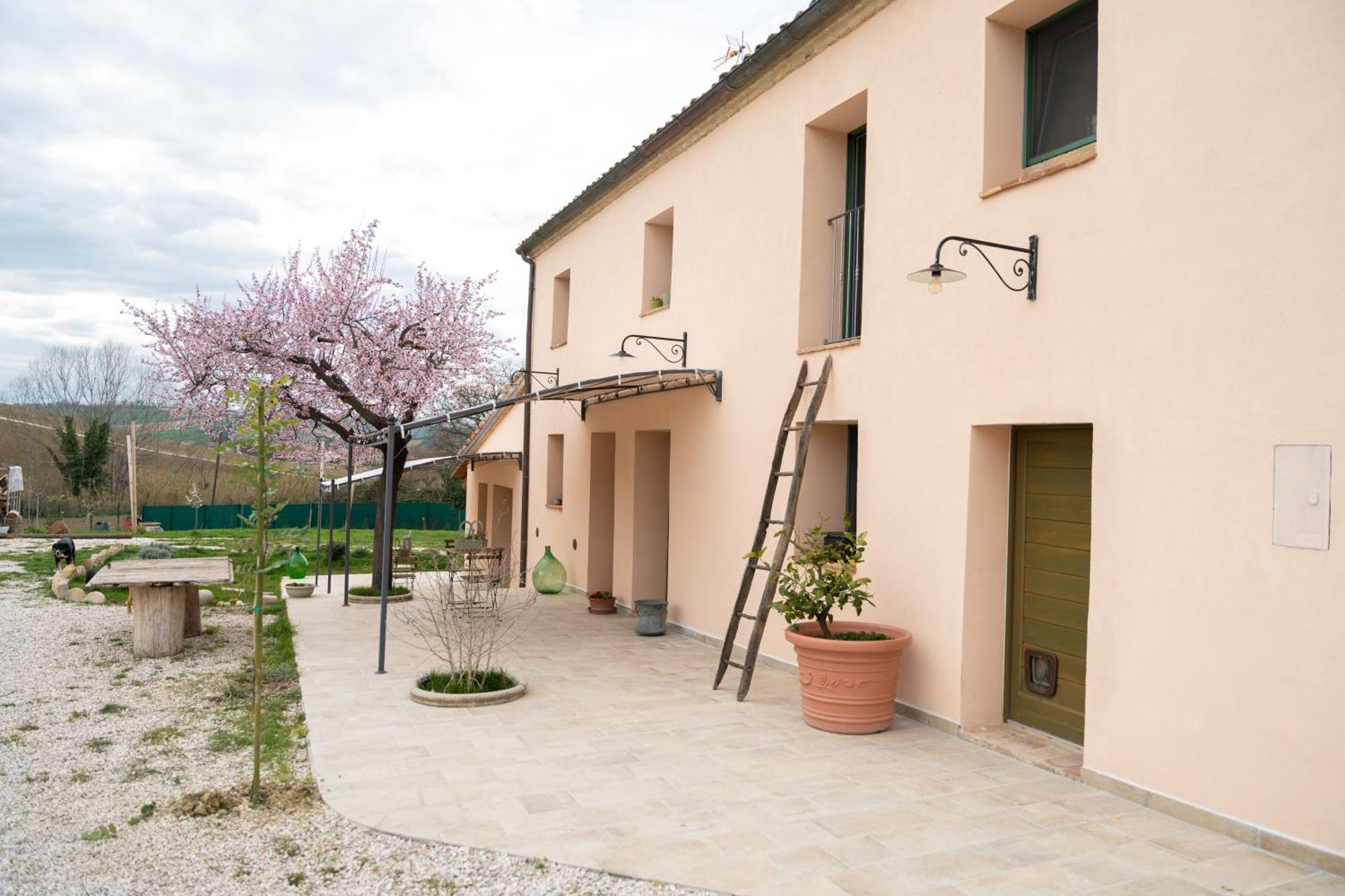B&B Le Rondini Ostra Senigallia Casine  Buitenkant foto