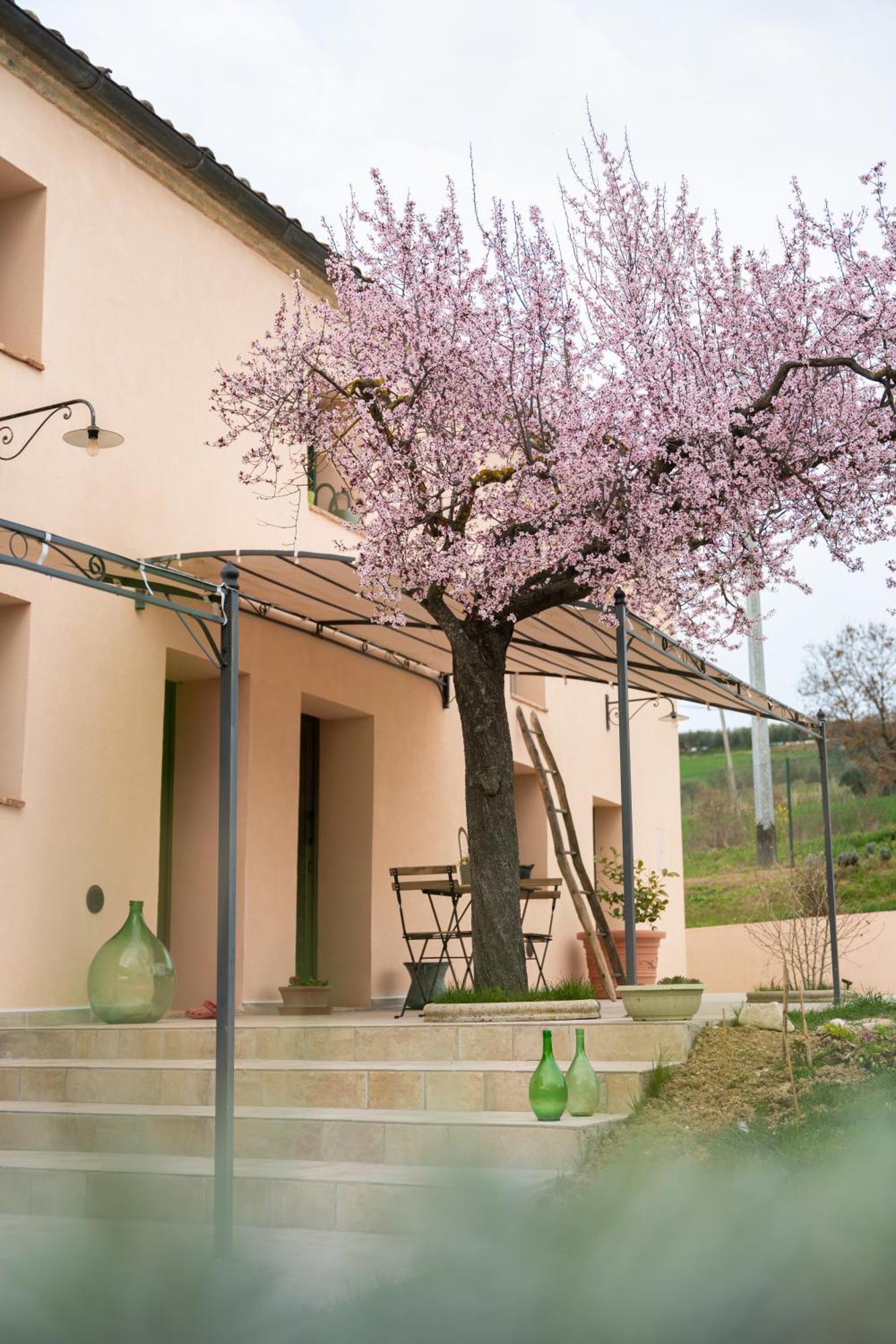 B&B Le Rondini Ostra Senigallia Casine  Buitenkant foto